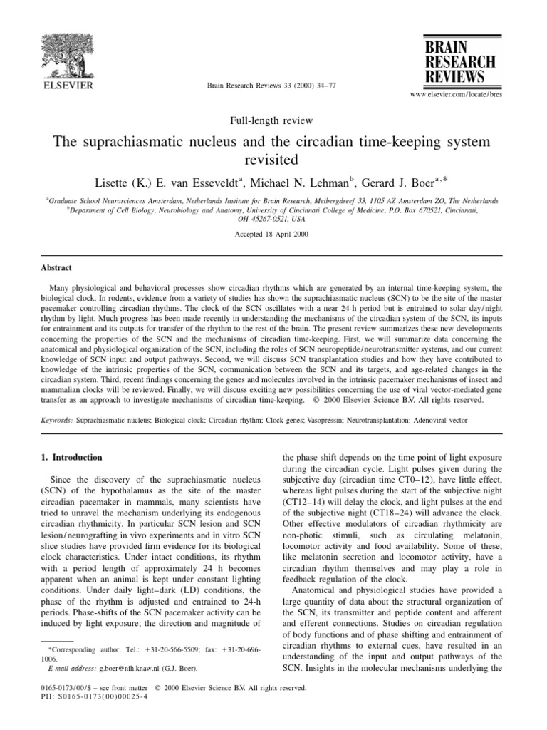 2 Van Esseveldt 2002 The Suprachiasmatic Nucleus And The Circadian