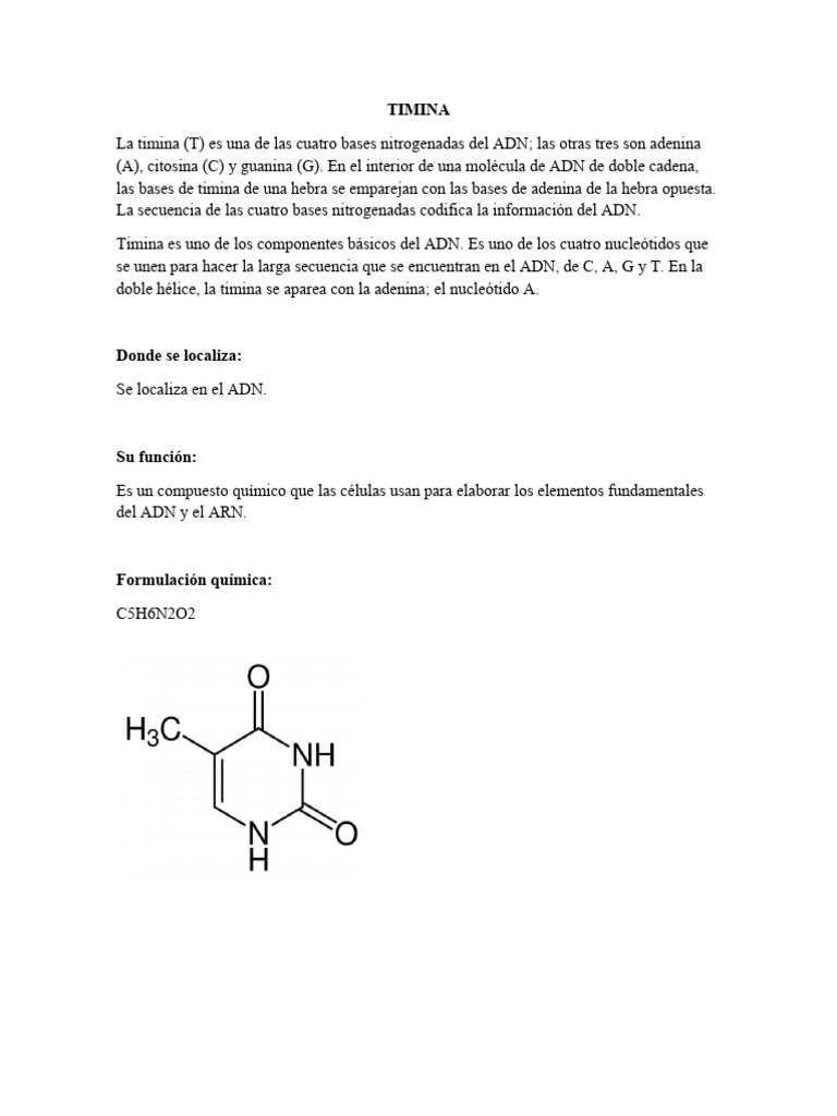 Timina: Base Nitrogenada del ADN | PDF | Ciencia y matemáticas