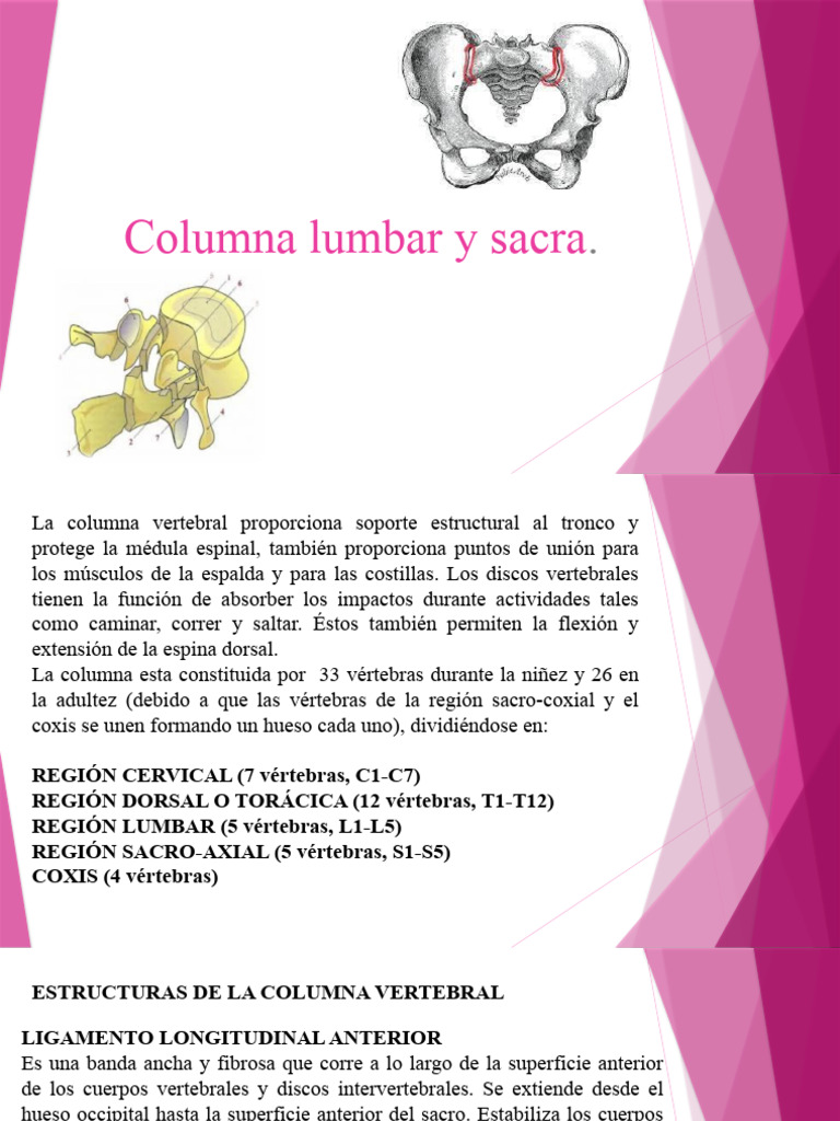 Columna Lumbar Metodo | PDF | La columna vertebral | Vértebra