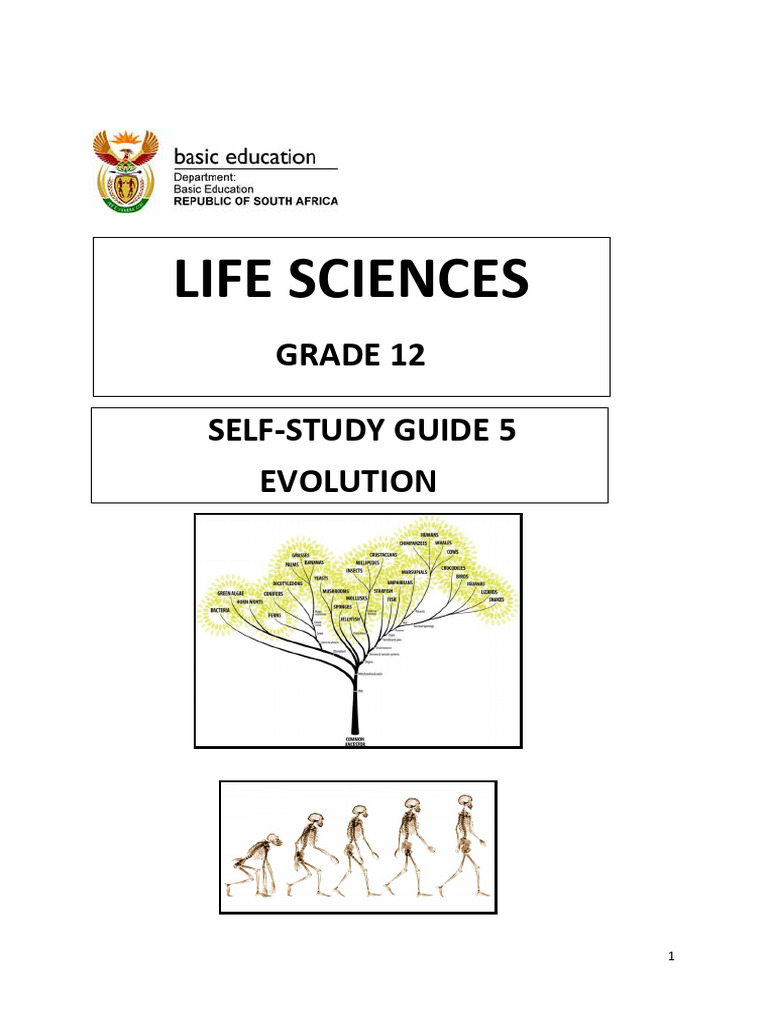 Prosimian Evolution New Discoveries Rewrite The Textbook - 1a2j0p6