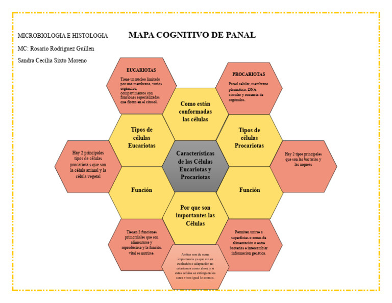 Microbiologia e Histologia Mapa Cognitivo de Panal | PDF | Biología ...