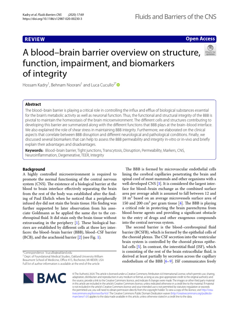 A Blood Brain Barrier Overview On Struct Pdf Cell Membrane Biology