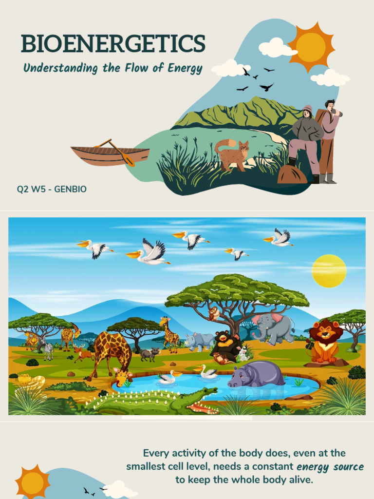 Bioenergetics: Energy Flow in Living Systems | PDF | Bioenergetics ...