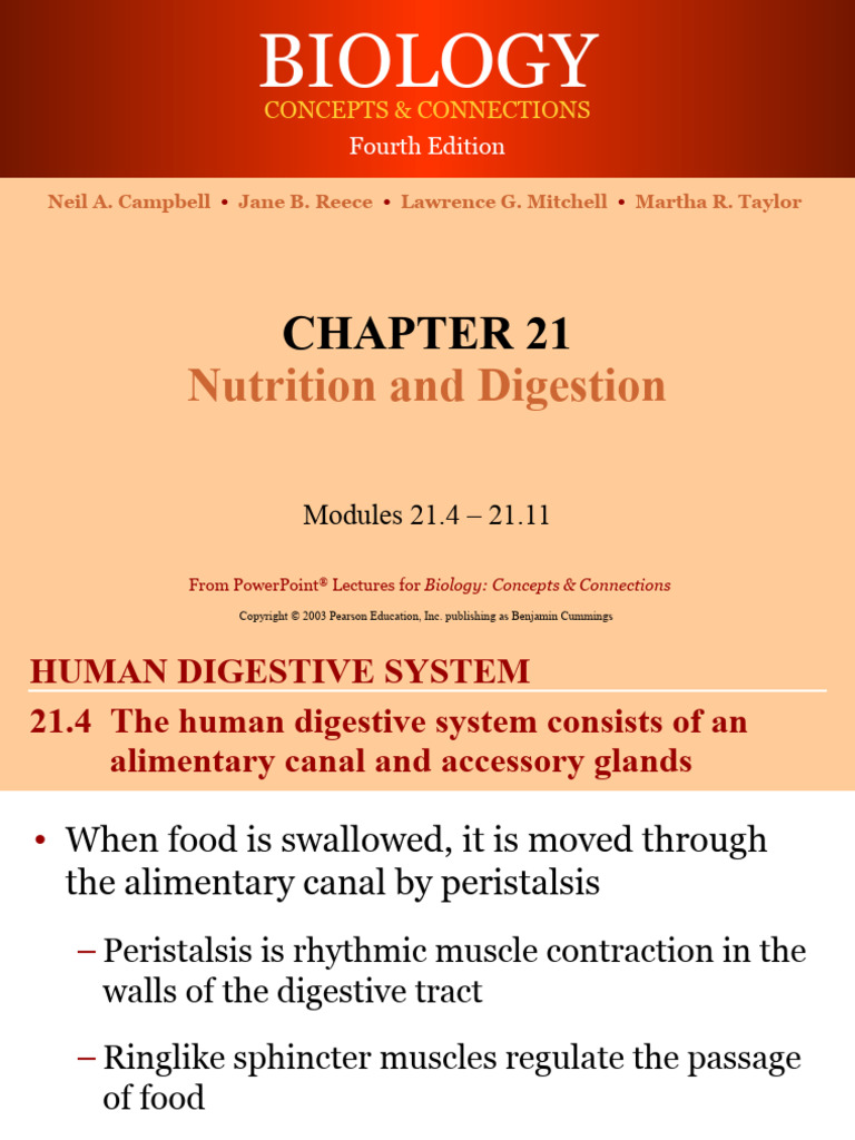 212 Nutrition and Digestion | PDF | Stomach | Small Intestine