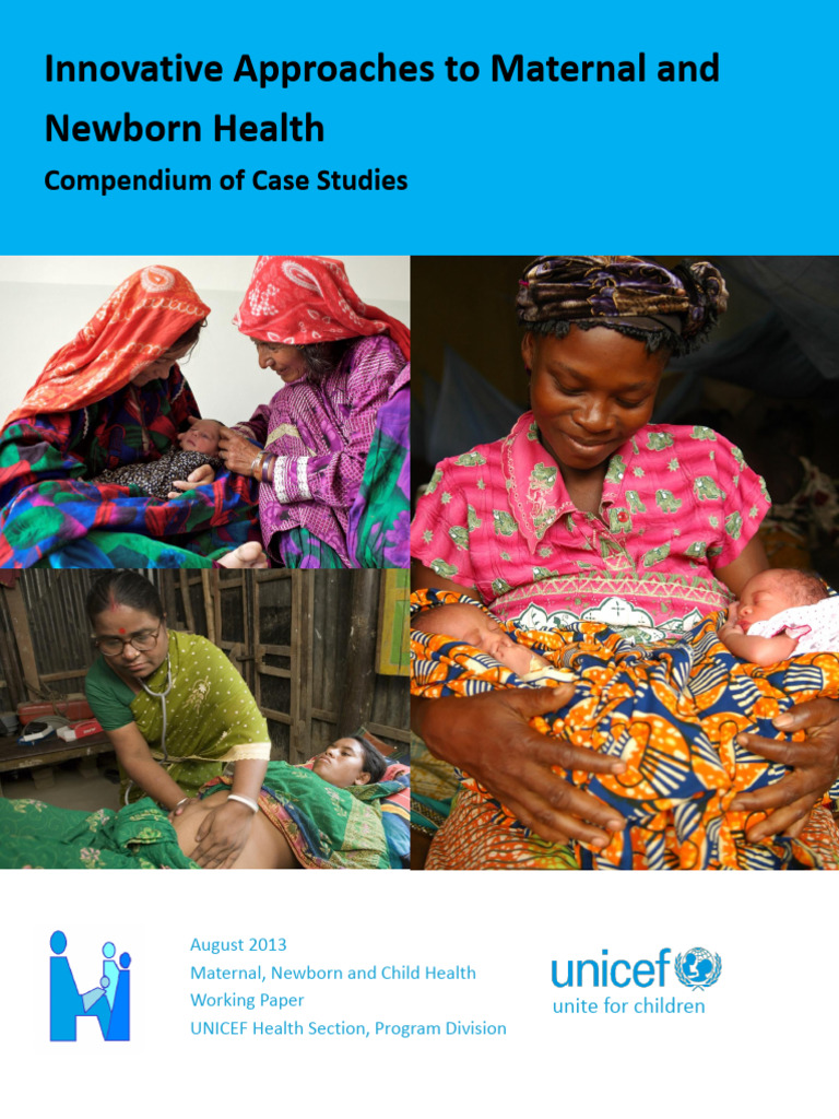 Innovative Maternal and Newborn Health Solutions | PDF | Maternal Death ...