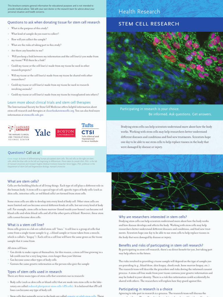 Understanding Stem Cell Research | PDF | Stem Cell | Embryonic Stem Cell