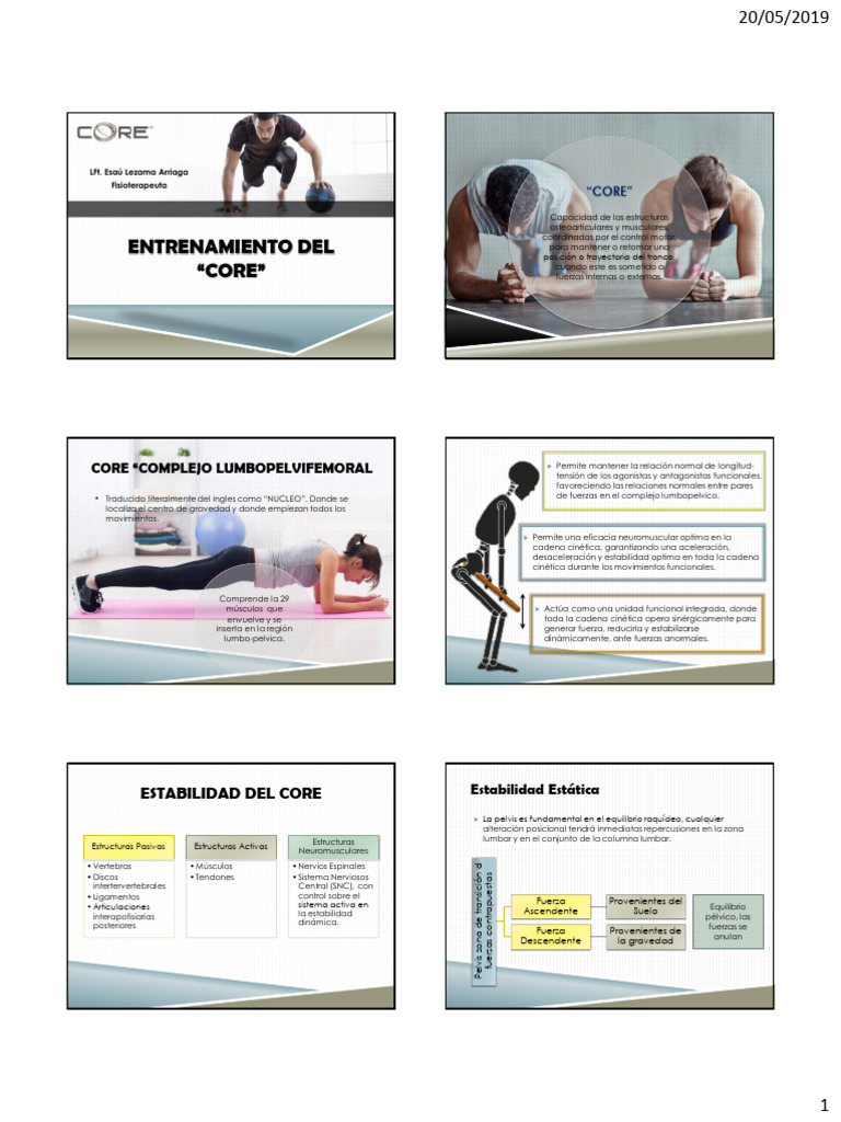 CORE | PDF | La columna vertebral | Músculo