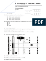 TesteBioGeo_Tema6Bio