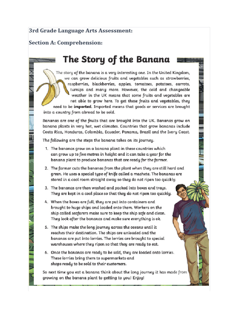 3rd Grade Language Arts Assessment | PDF | Banana | Sentence (Linguistics)