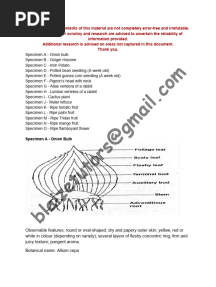 2024 Neco Biology Practical