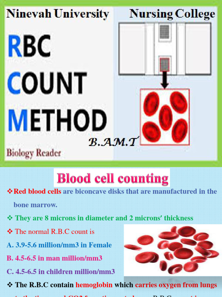 Red Blood Cell Counting Methods Explained | PDF | Red Blood Cell ...