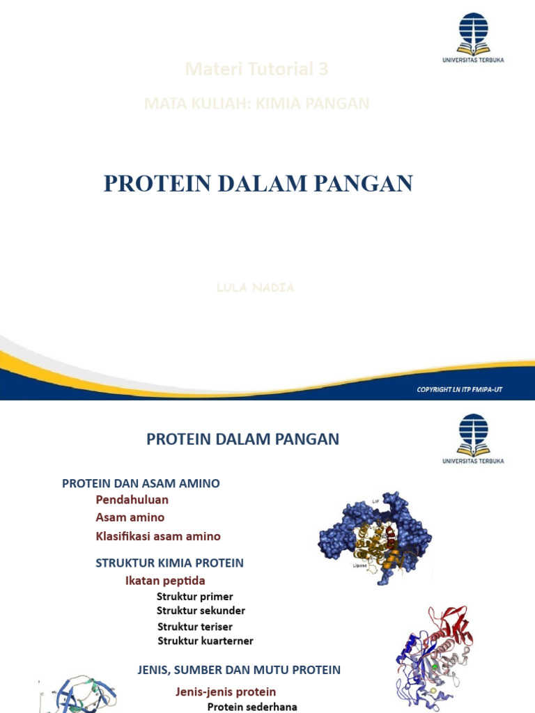 Struktur Kimia dan Klasifikasi Protein | PDF | Sains & Matematika