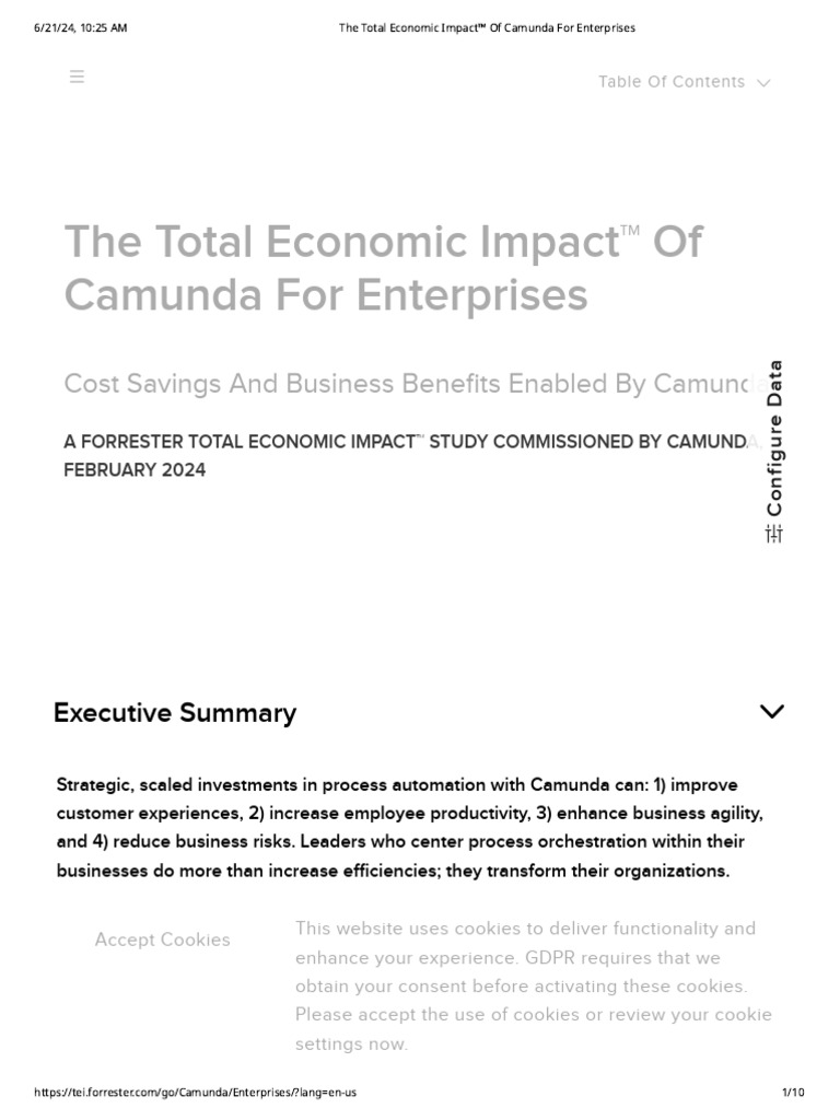 What Does Total Economic Impact Mean