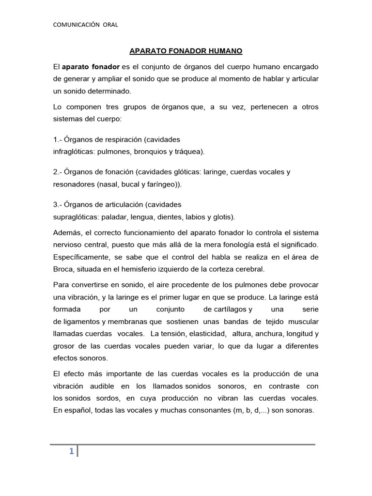 Anatomía del Aparato Fonador Humano | PDF | Fonética | Voz humana