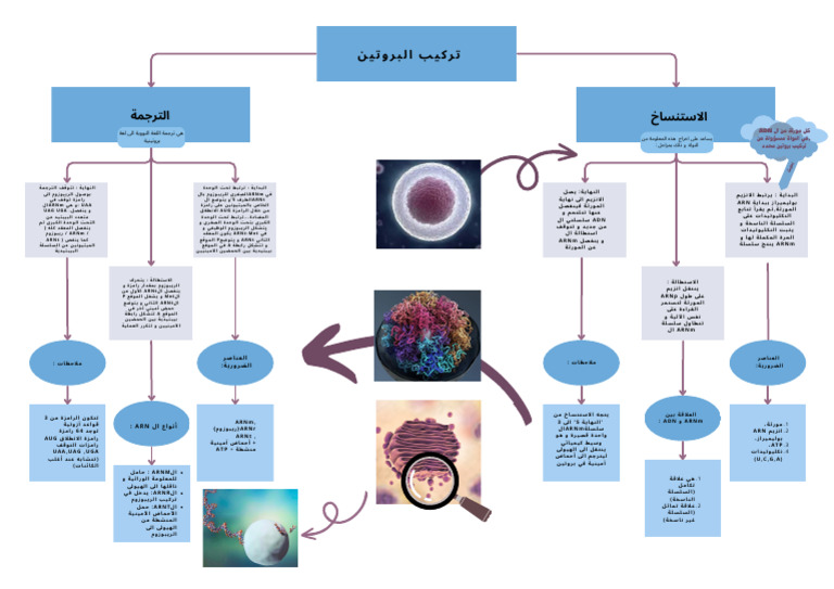Science BAC | PDF
