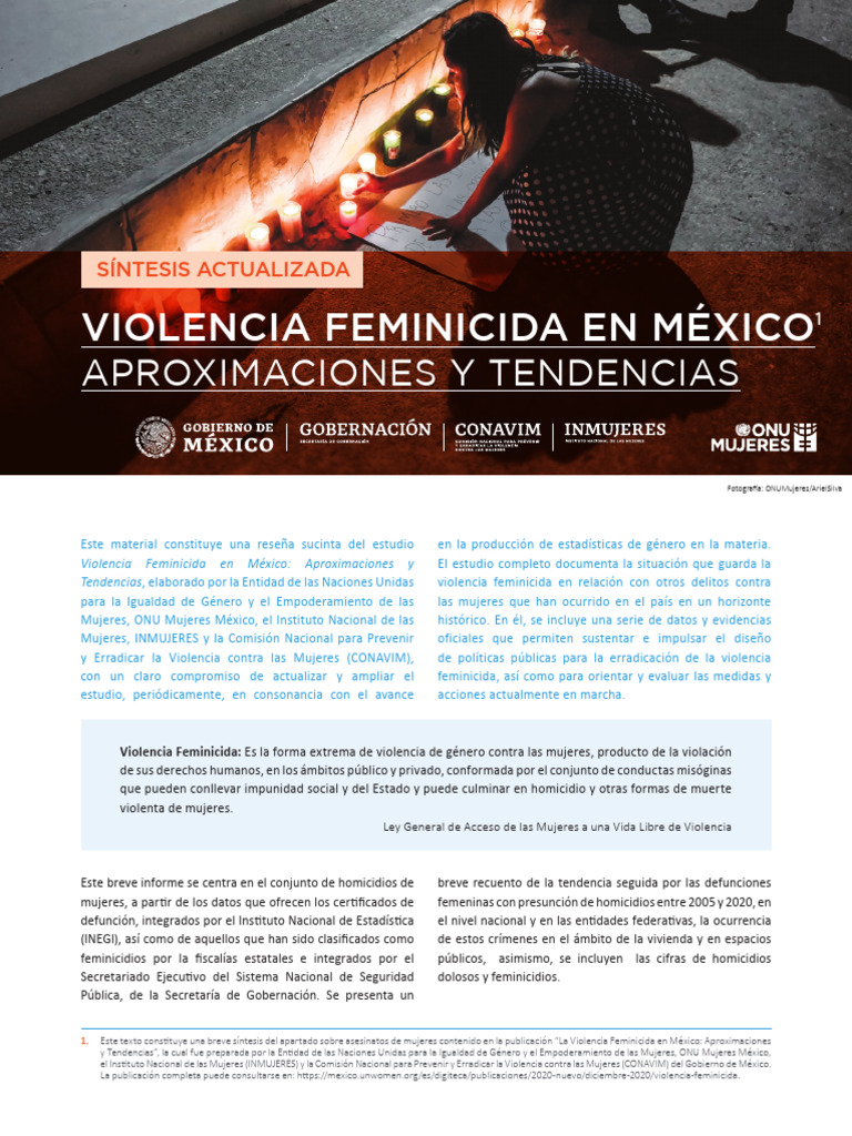 Violencia Feminicida en México | PDF | La violencia contra las mujeres ...