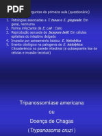 Trip a No So Mia Seam Eric an A