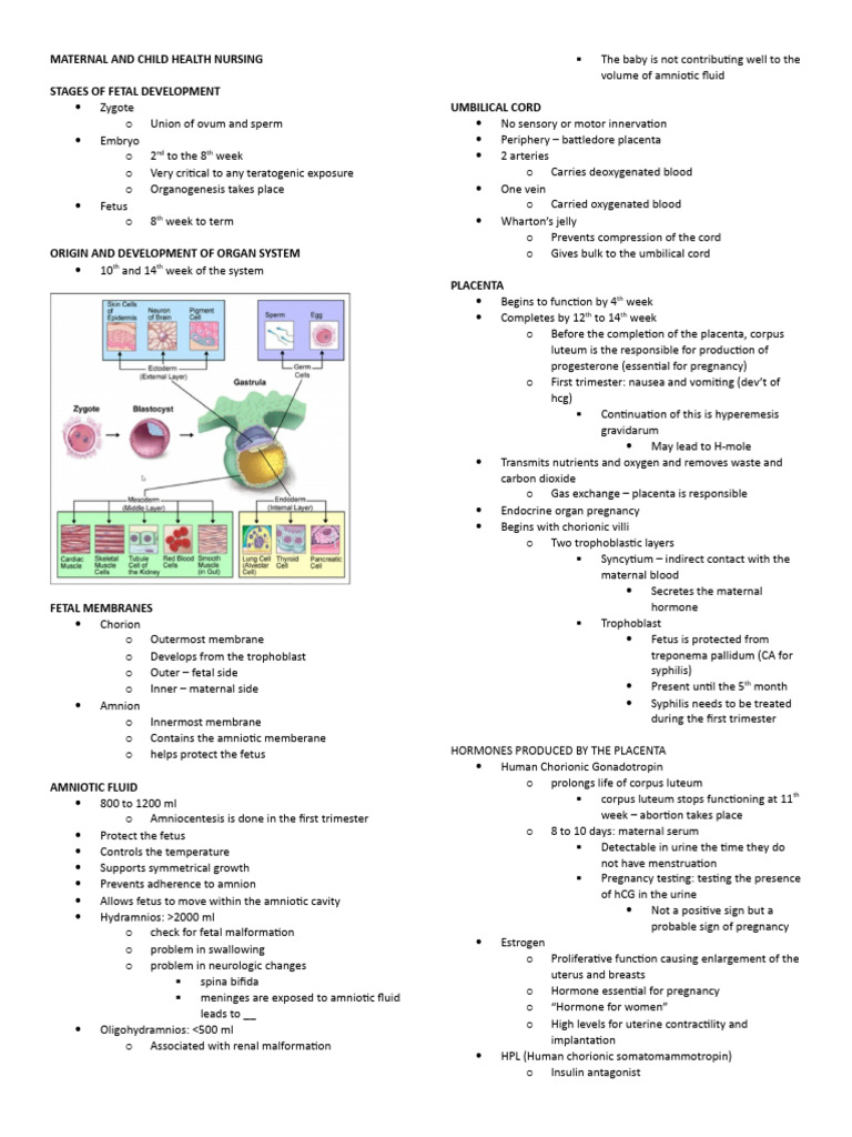 Maternal and Child Health Nursing | PDF | Placenta | Pregnancy