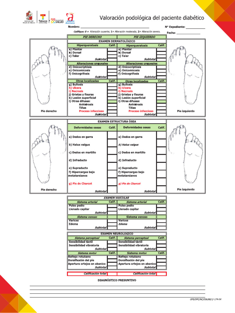 Formato Valoracion Pie Diabetico PDF