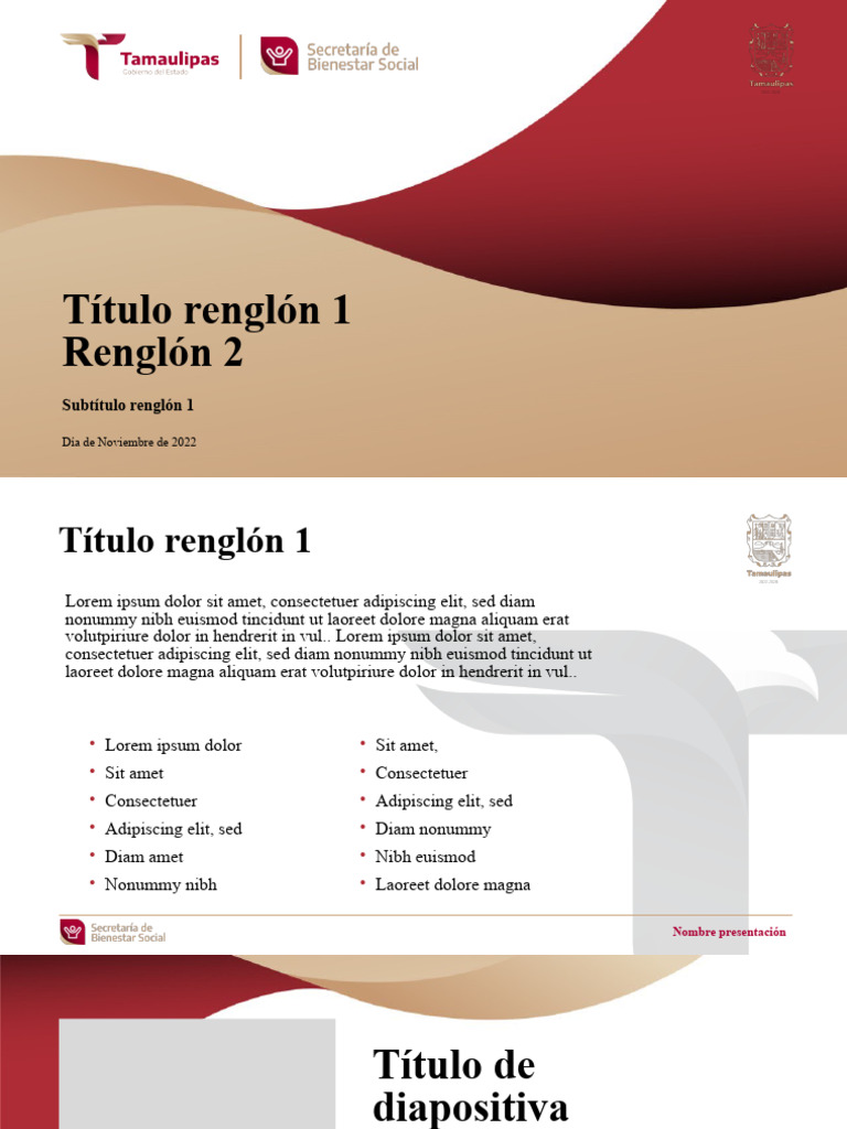 Contenido de Presentación Efectivo | PDF | Derecho