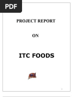 Project Report: Itc Foods