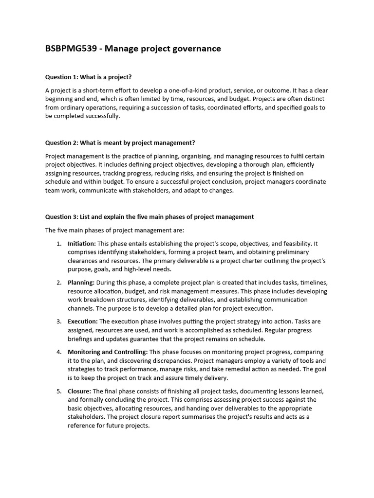 Understanding Project Governance Essentials | PDF | Risk | Project ...