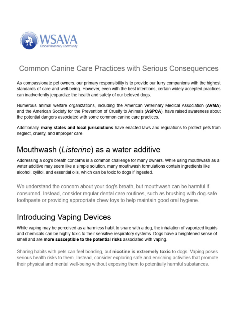 common-canine-care-practices-with-potentially-serious-consequences