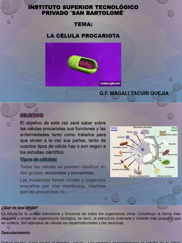 Celula Procariota-1 | PDF | Biología Celular) | Las bacterias
