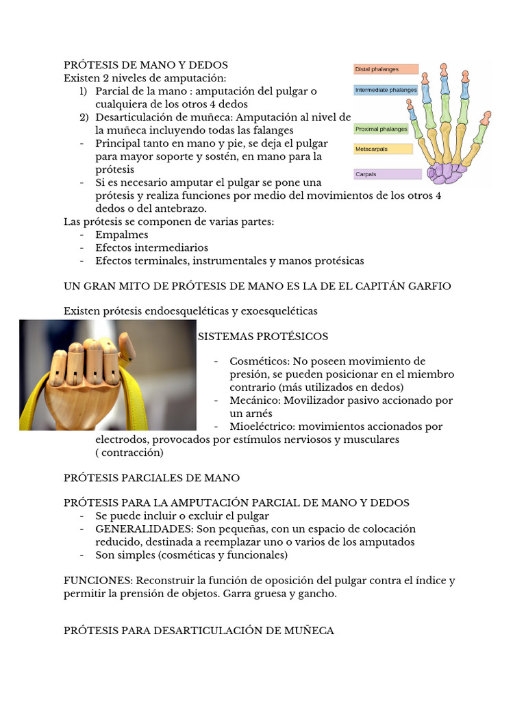 Copia de Prótesis de Mano y Dedos | PDF | Mano | Sistema musculoesquelético
