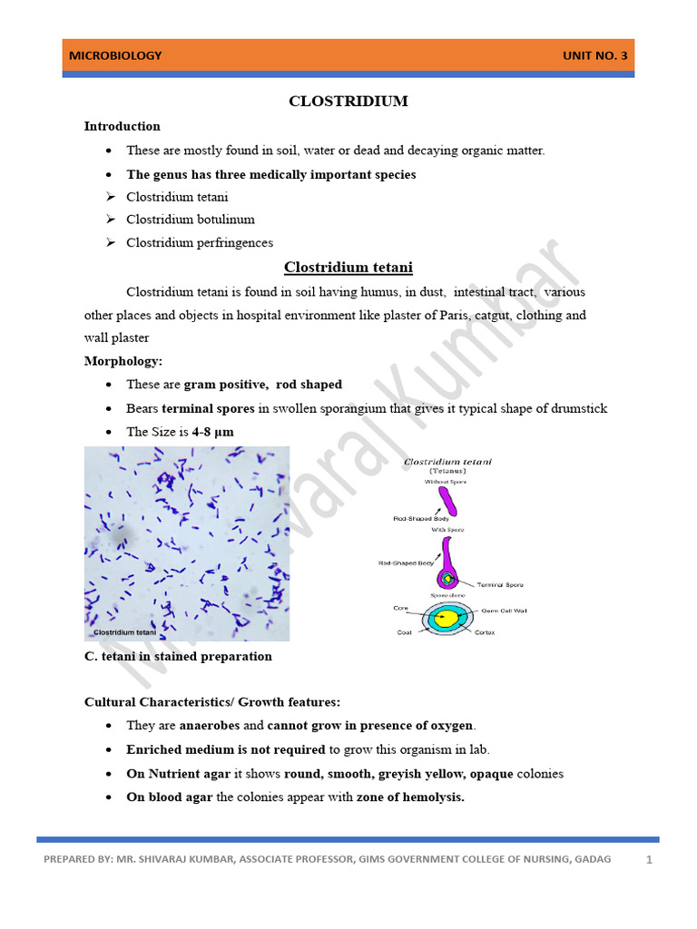Clostridium Pdf Botulinum Toxin Medical Specialties