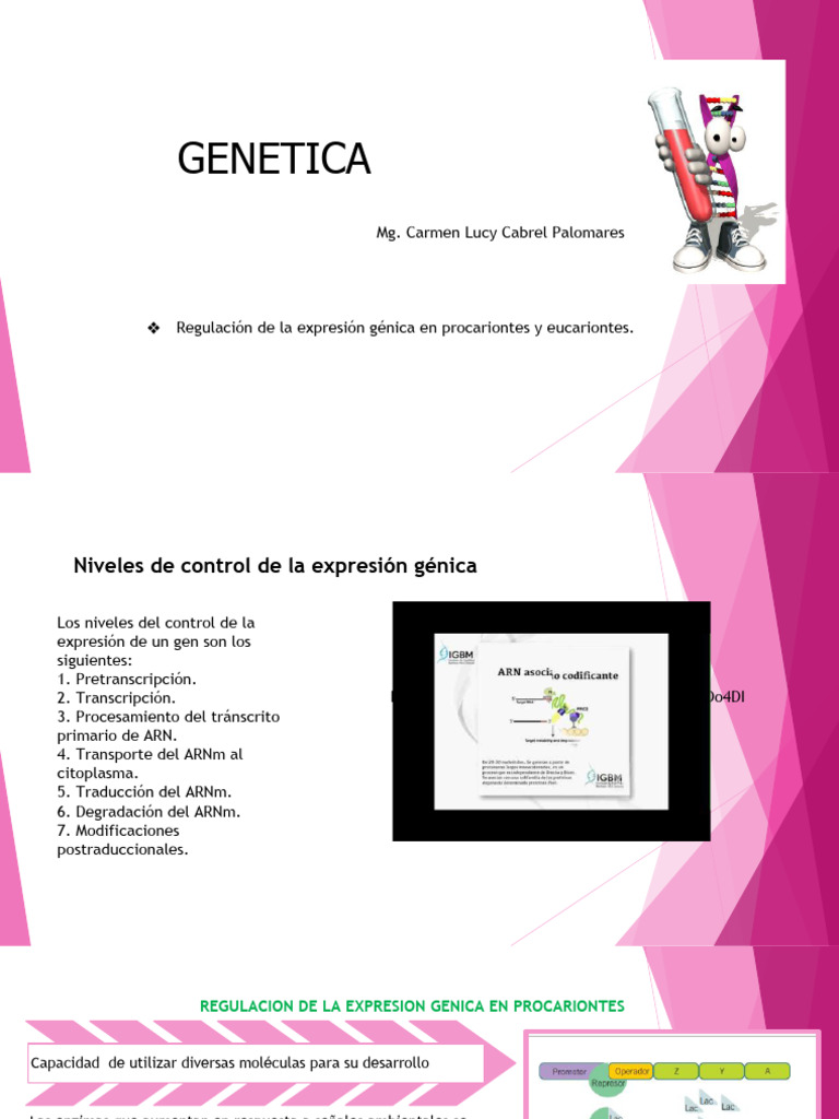 Regulación de Expresión Génica | PDF | Regulación de la expresión ...