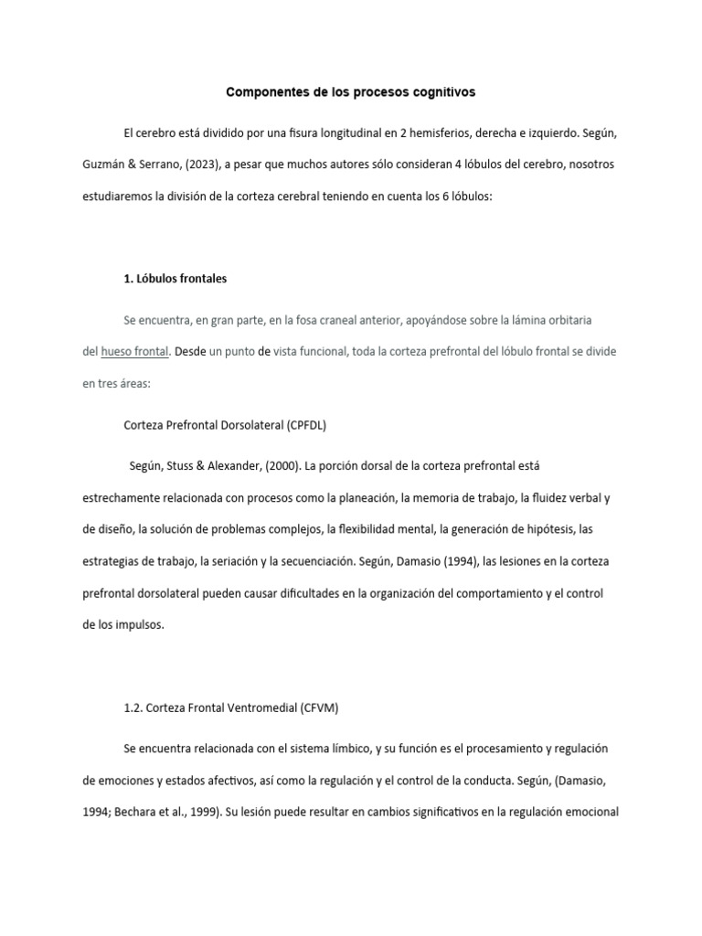 Componentes de Los Procesos Cognitivos | PDF | Lóbulo temporal | Las ...