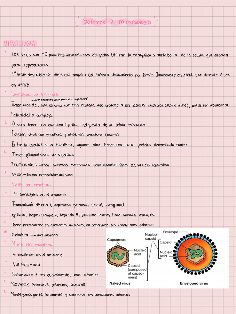 Resumen Solemne 2 Micro - 231104 - 170249 | PDF