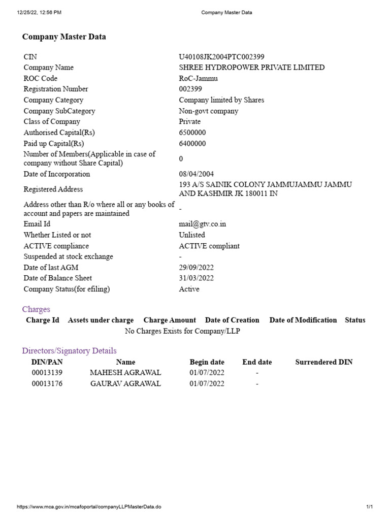 ministry-of-corporate-affairs-mca-services-pdf-financial