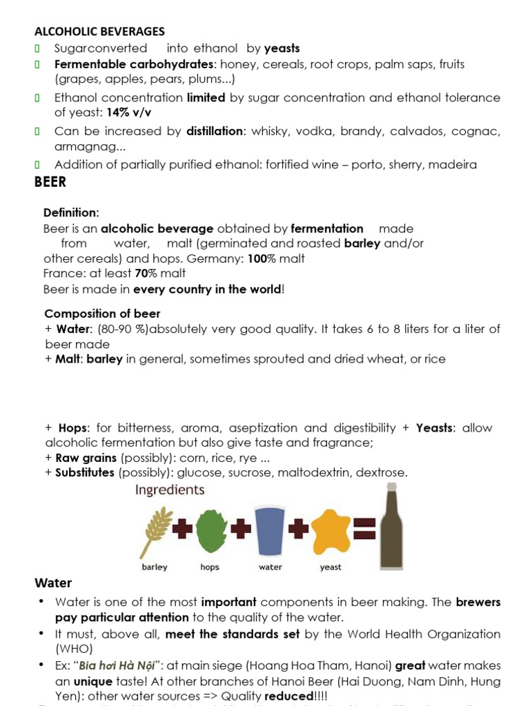 Beer Production: Ingredients and Process | PDF | Brewing | Beer