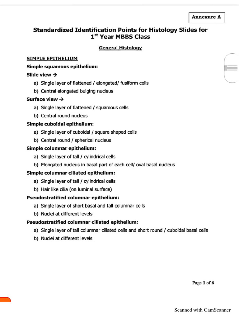 Histology Identification Points Uhs | PDF