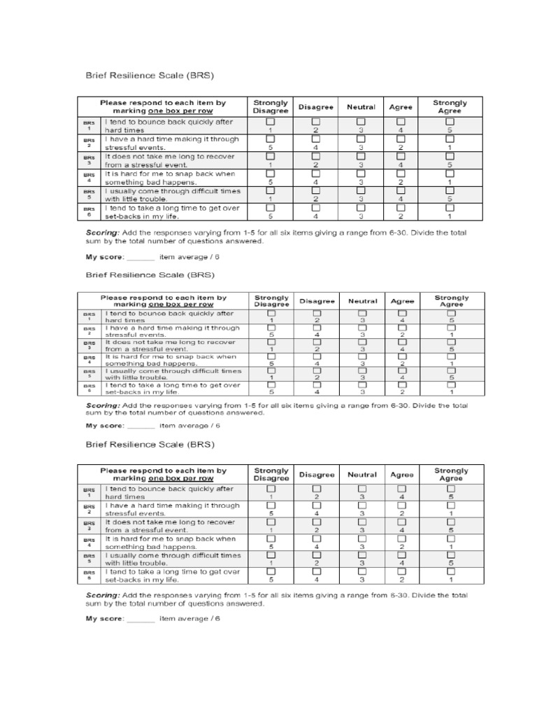 BRS - Scale 7 | PDF