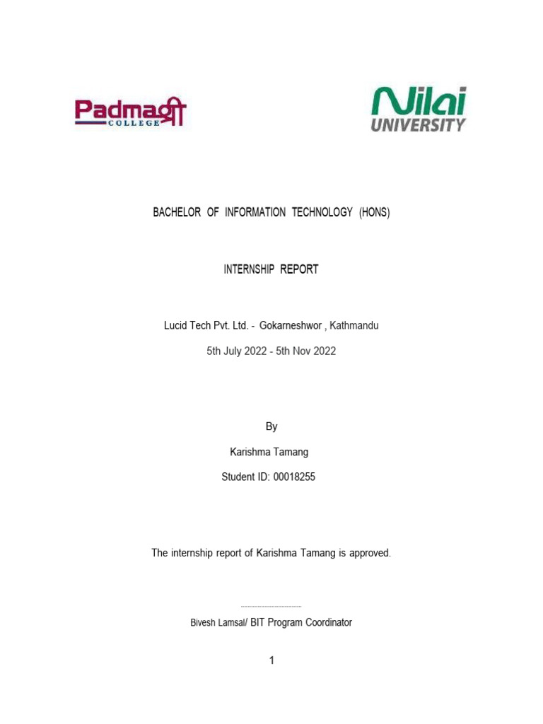 Internship Report: Backend Development at Lucid Tech | PDF | Python ...