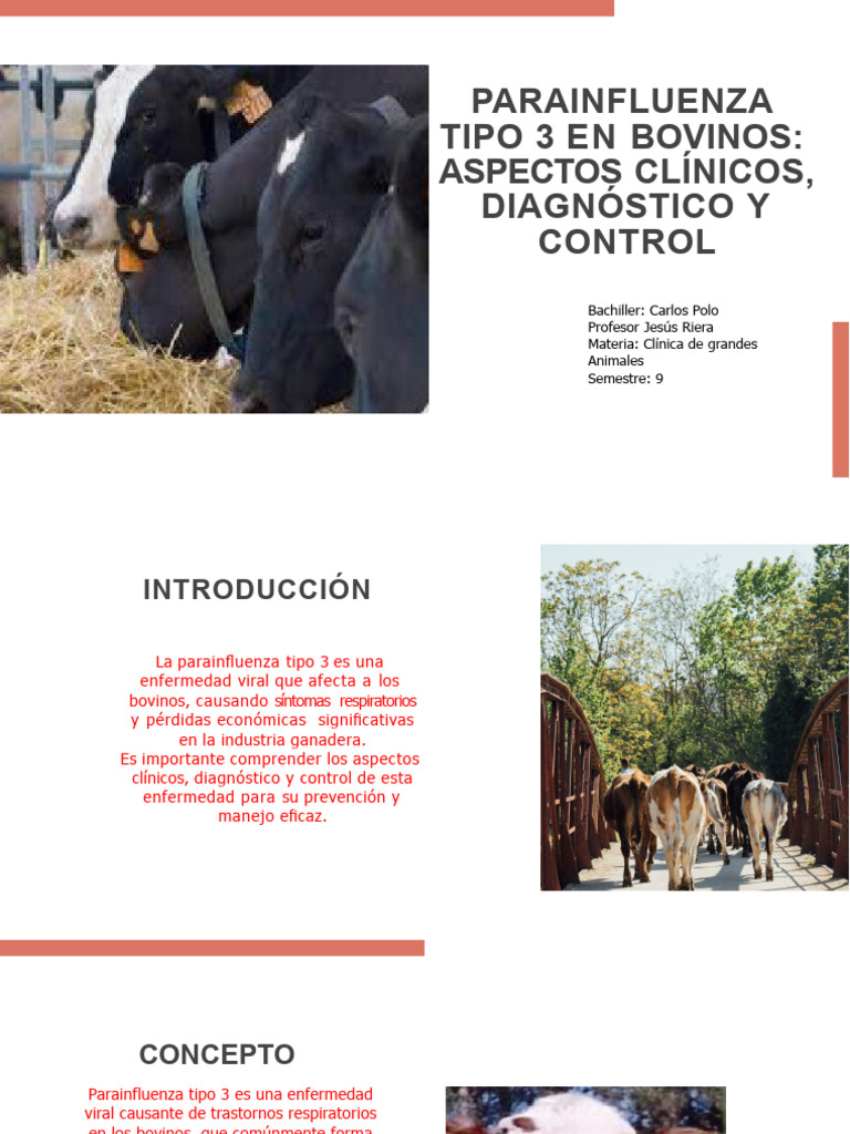 Parainfluenza Tipo 3 en Bovinos: Diagnóstico y Control | PDF | Virus ...