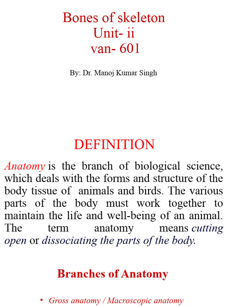 VAN 601 Comprative Osteology Arthrology | PDF | Anatomy | Skeleton