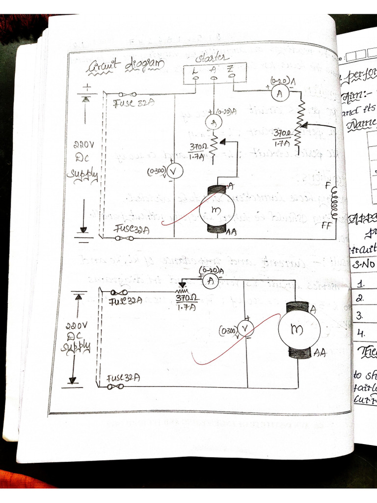 Bee PDF | PDF