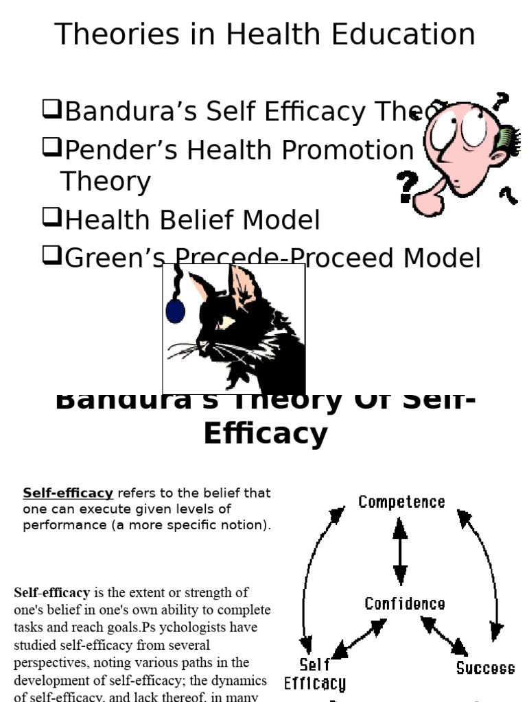 Key Health Education Theories Explained | PDF | Self Efficacy | Psychology
