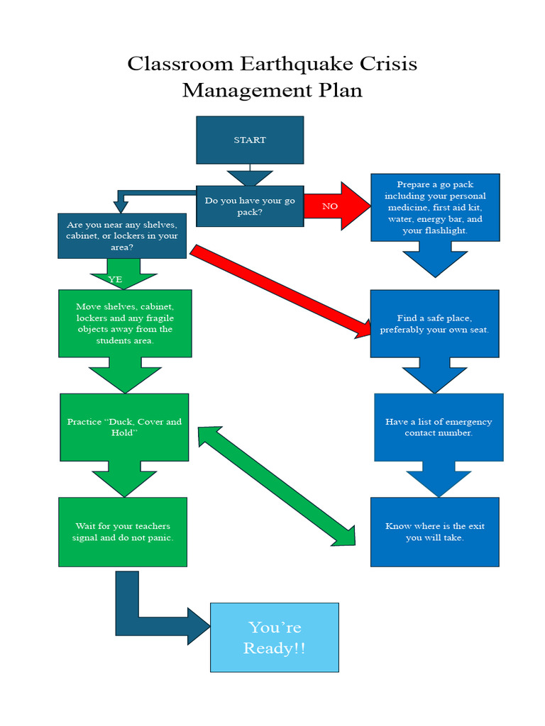 Earthquake Crisis Management Plan | PDF