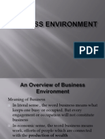 Business Environment