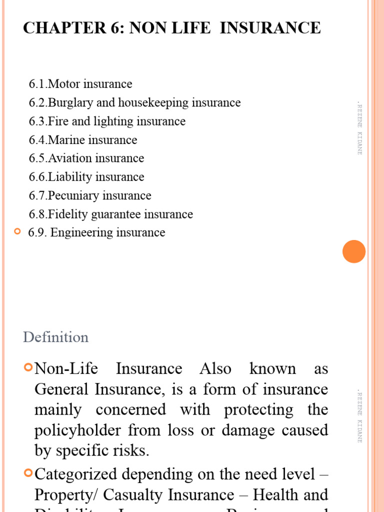 Types of Non-Life Insurance Explained | PDF | Insurance | Vehicle Insurance
