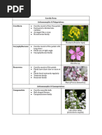 Iris Dataset: Sepal and Petal Measurements | PDF