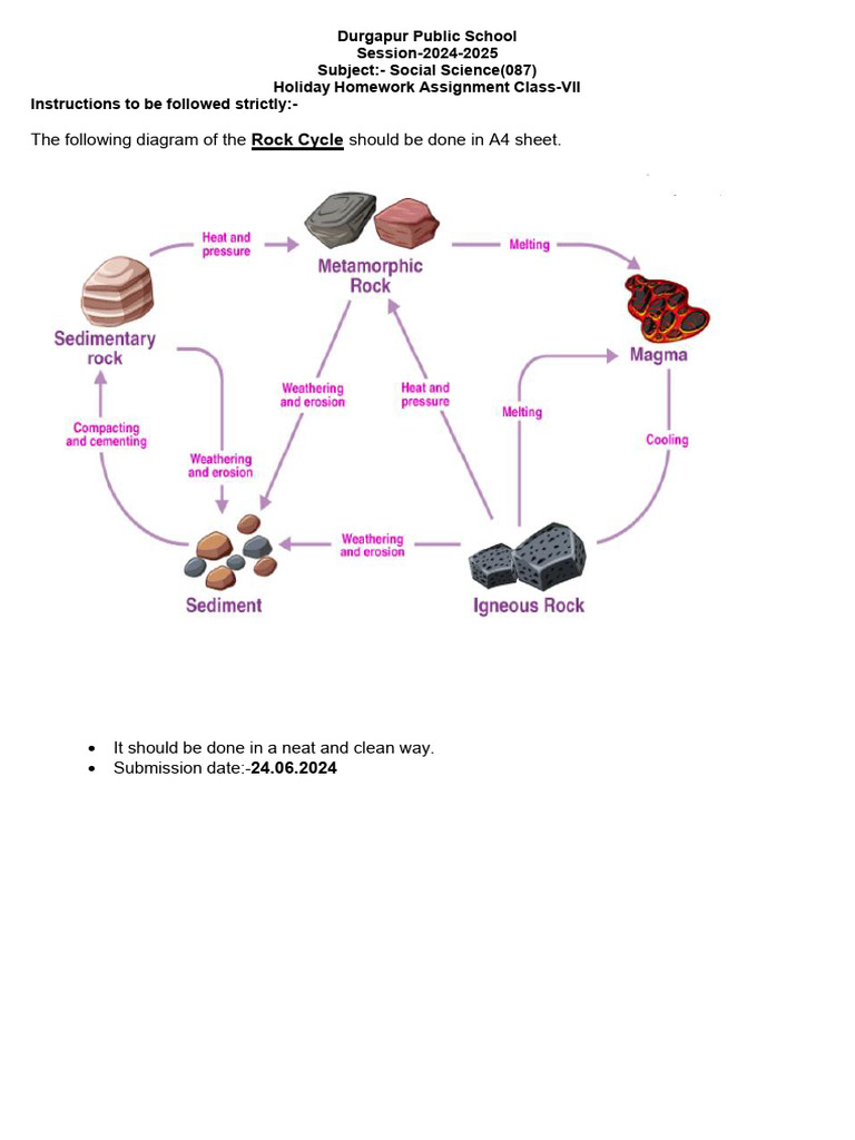 Class 7 Holiday Homework | PDF