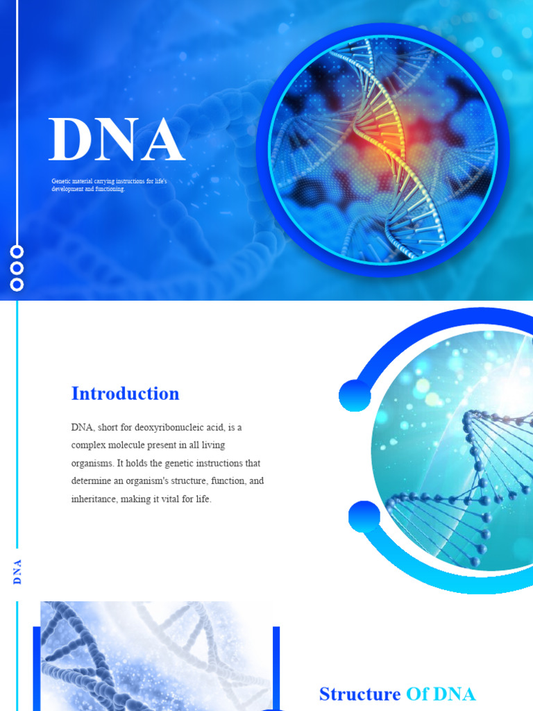 Understanding DNA: Structure & Functions | PDF | Dna | Genetics