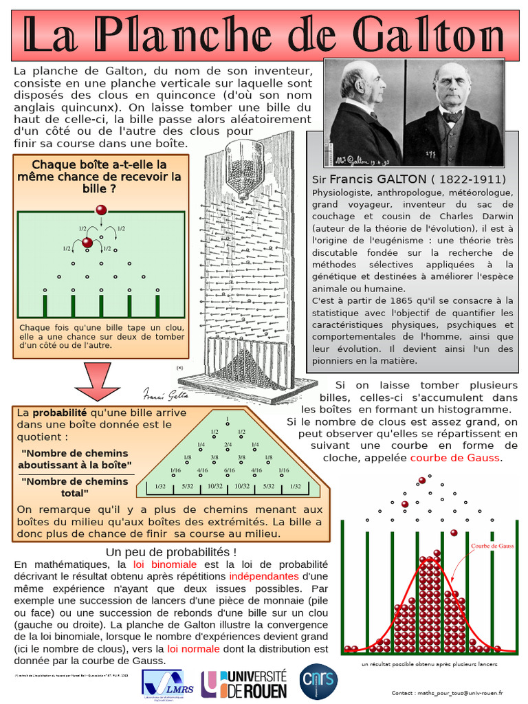 La Planche De Galton Et La Loi Binomiale PDF Loi Normale Loi De 