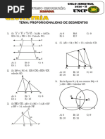 S8 - Geometría - Proporcionalidad y Semejanza SM2024
